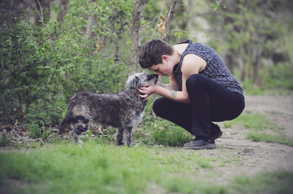 Person kneeling down to pet a dog wearing a knee brace in a forest setting