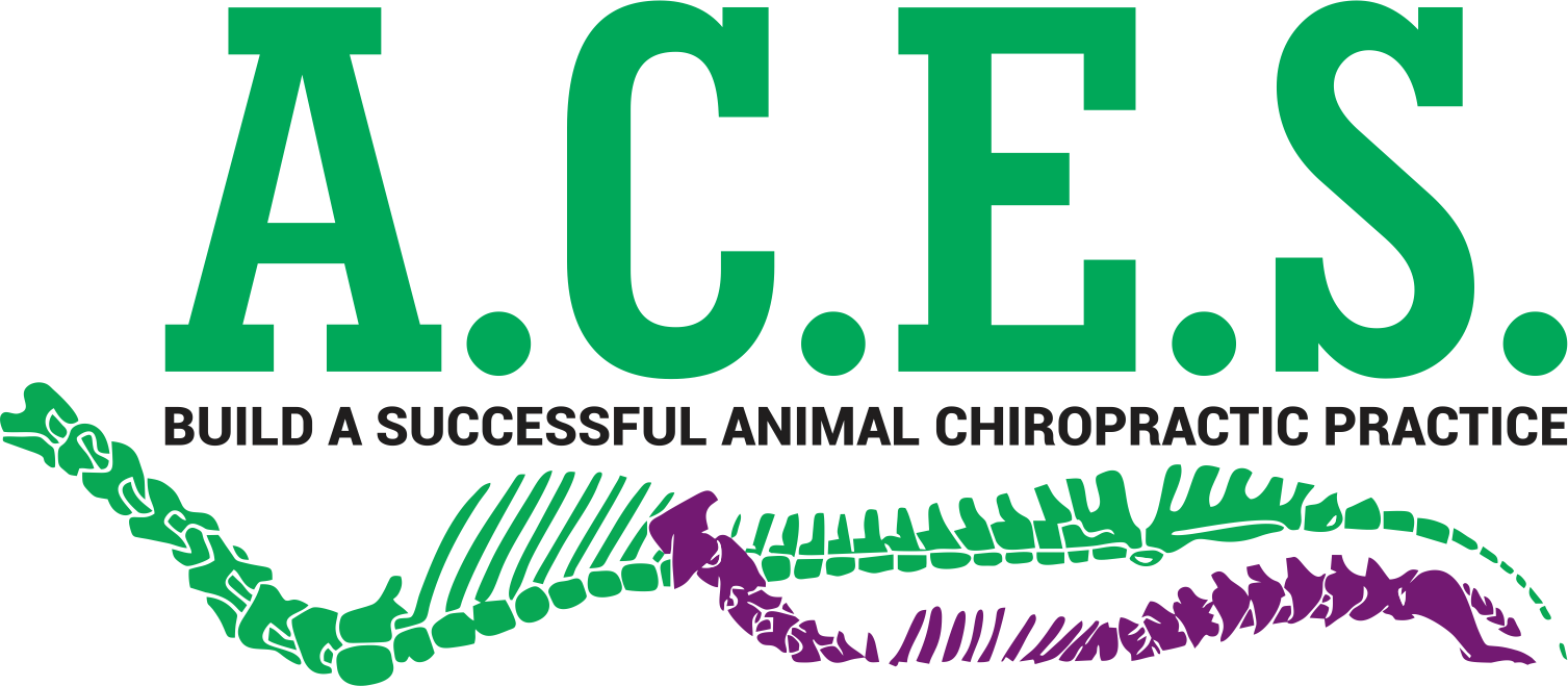 A.C.E.S. Logo