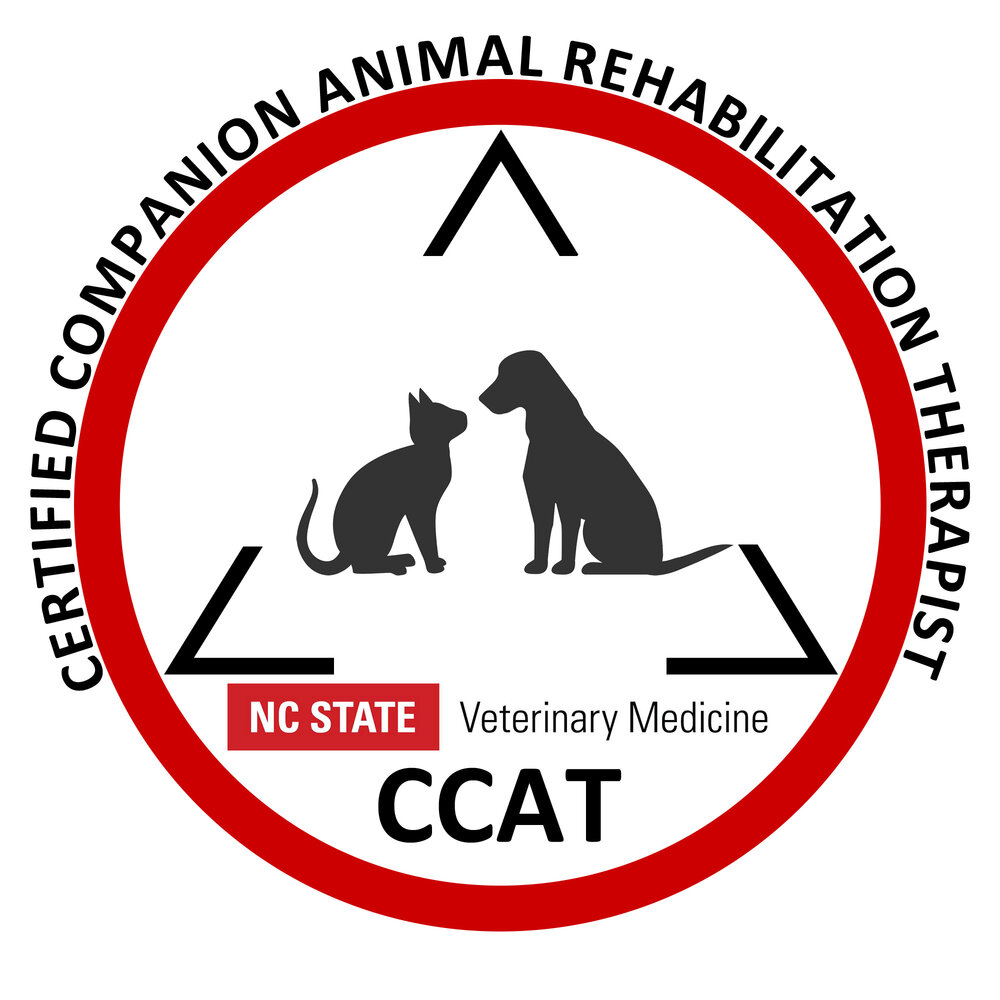 CCAT Certification Logo