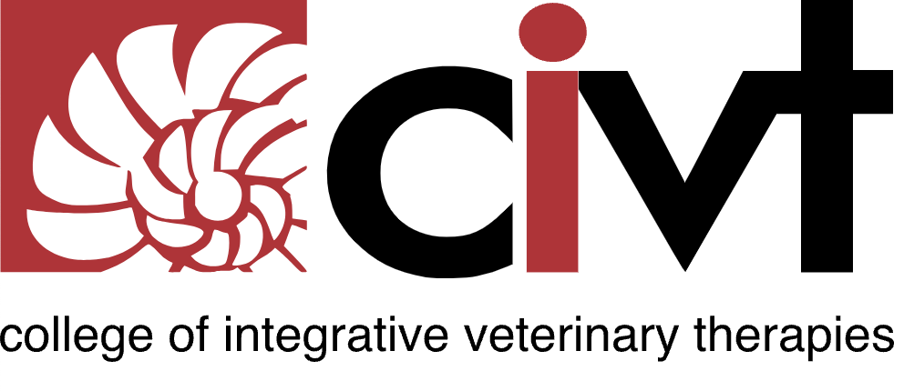 CIVT Logo