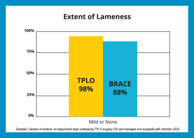 Infographic that compares TPLOs and Braces for torn ACLs in dogs