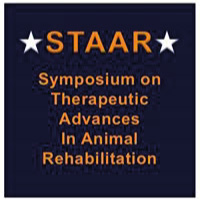 STAAR Conference Logo
