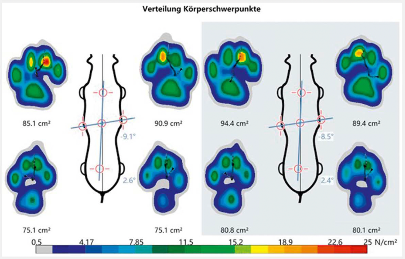 Force plate data from testing a dog wearing a knee brace