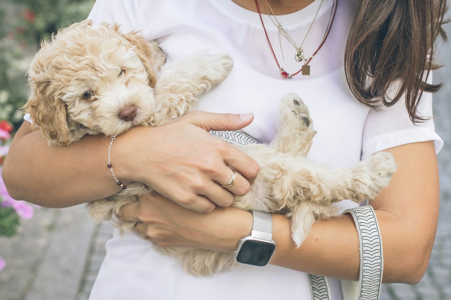 Woman cradling a puppy