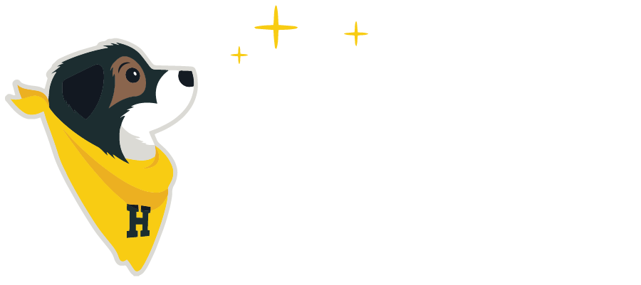 Hero Braces