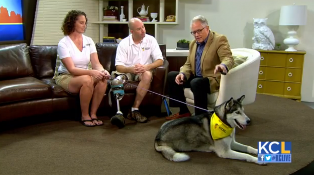 Crystal and Ben stop by KCLive to talk about dog bracing and feature Hero Dog, Antoine.